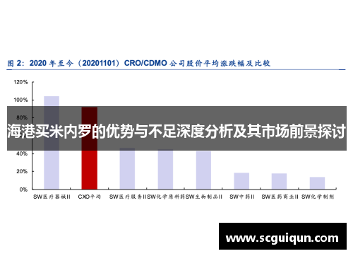 海港买米内罗的优势与不足深度分析及其市场前景探讨
