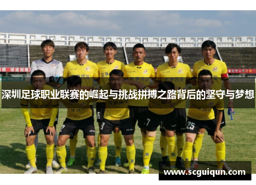 深圳足球职业联赛的崛起与挑战拼搏之路背后的坚守与梦想